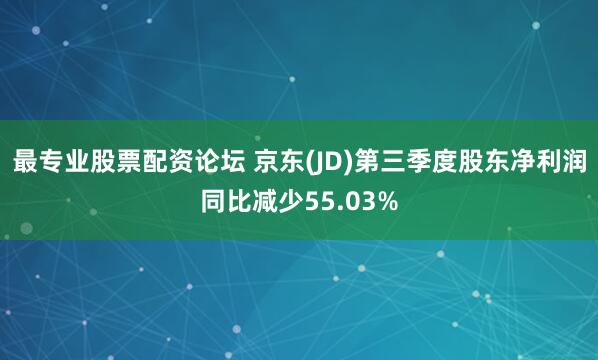 最专业股票配资论坛 京东(JD)第三季度股东净利润同比减少55.03%