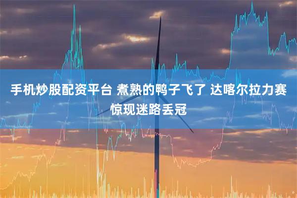 手机炒股配资平台 煮熟的鸭子飞了 达喀尔拉力赛惊现迷路丢冠